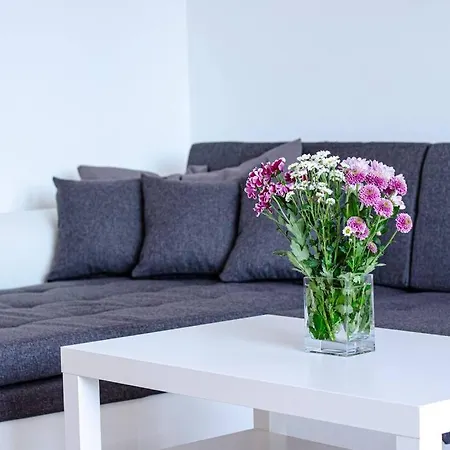 Panoramic In Old Town * Pressburg